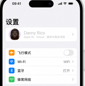 宜兴appleID维修服务iPhone设置中Apple ID显示为灰色无法使用