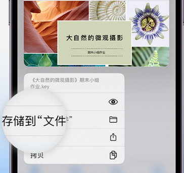 宜兴apple维修中心分享iPhone文件应用中存储和找到下载文件