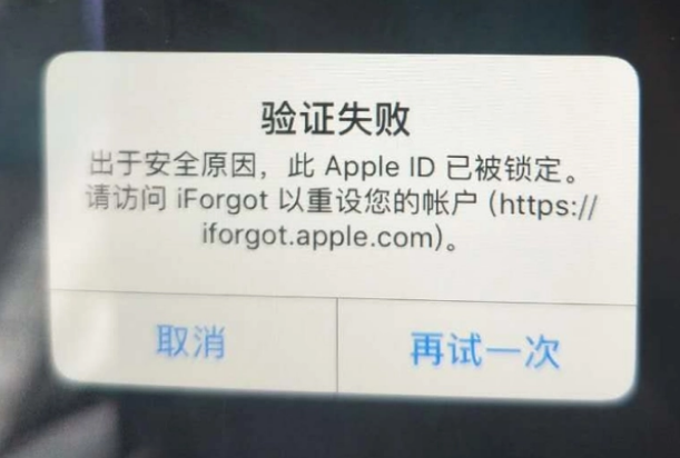 宜兴iPhone维修分享iPhone上正常登录或使用AppleID怎么办 