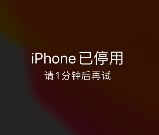 宜兴苹果手机维修分享:iPhone 显示“不可用”或“已停用”怎么办？还能保留数据吗？ 