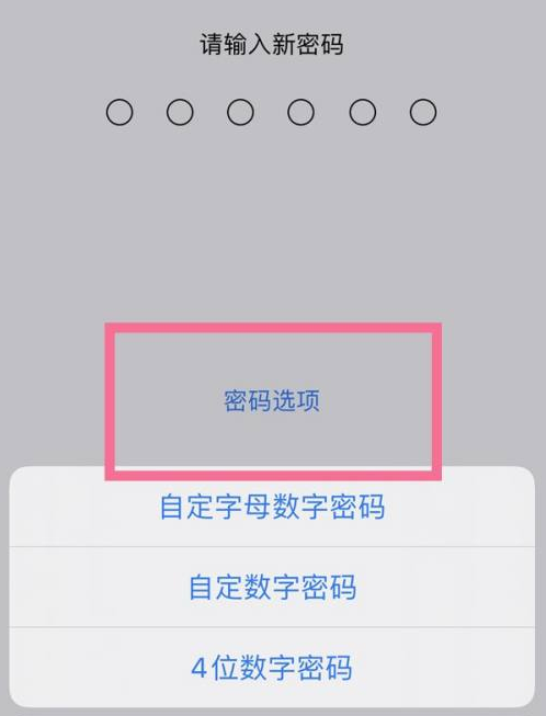 宜兴苹果14维修分享iPhone 14plus设置密码的方法 