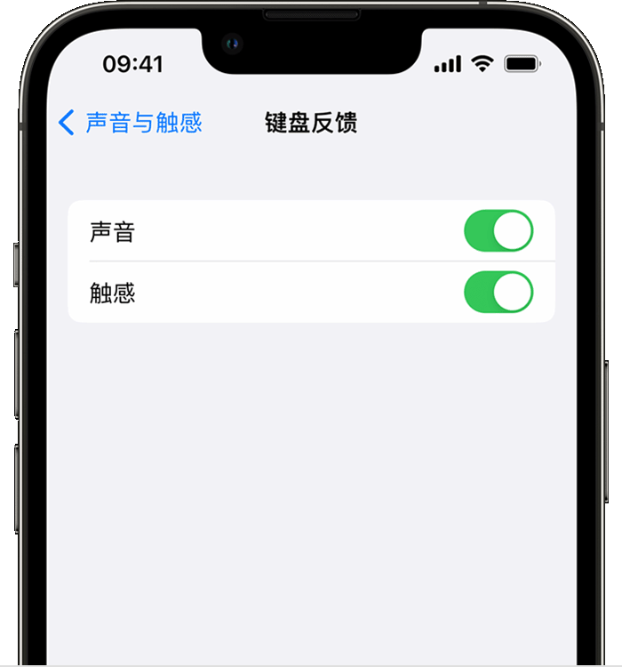宜兴苹果14维修分享iPhone 14 系列机型如何开启键盘声音或触感反馈 