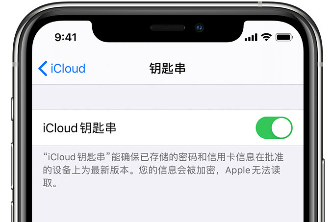 宜兴苹果手机维修分享在 iPhone 上开启 iCloud 钥匙串之后会储存哪些信息 
