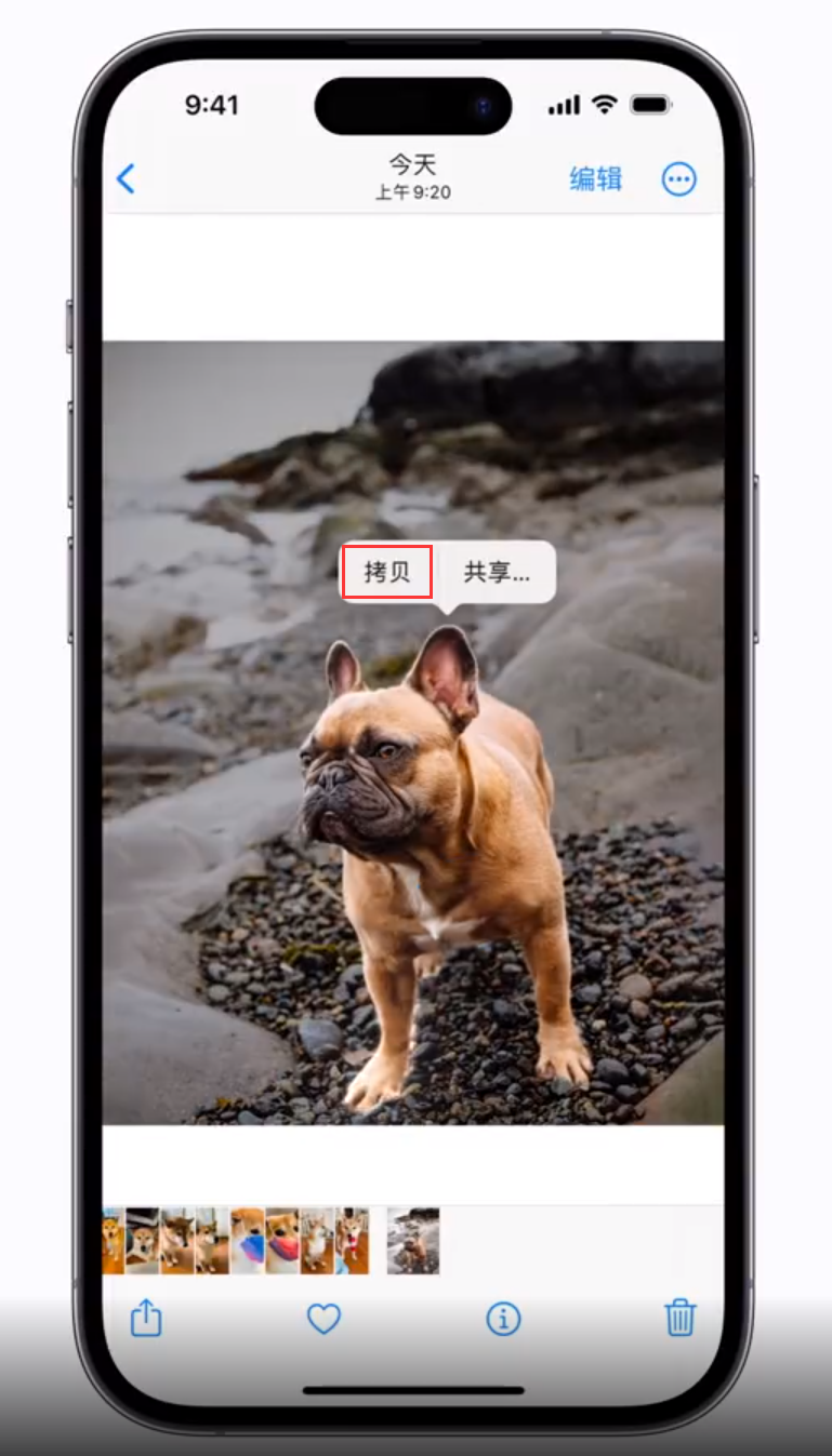 宜兴苹果手机维修分享 iOS 16 自带一键抠图功能 