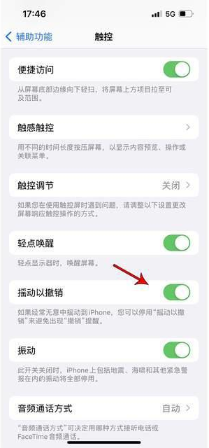 宜兴苹果手机维修分享iPhone手机如何设置摇一摇删除文字 