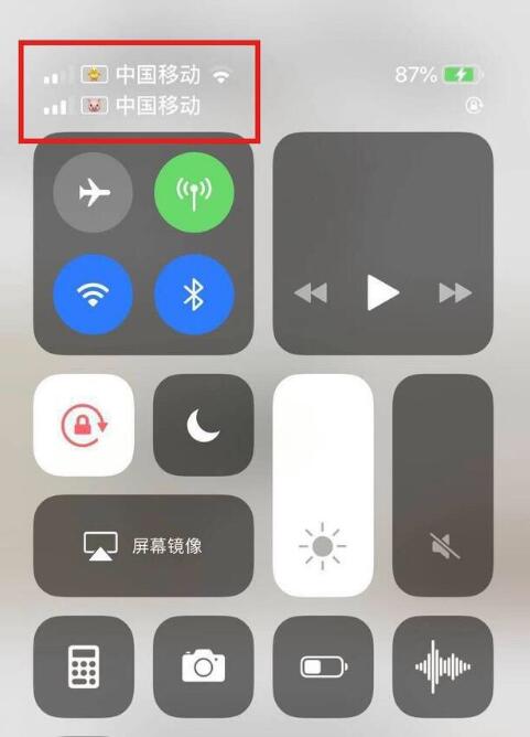 宜兴苹果手机维修分享为 iPhone 12 双卡设置标签 