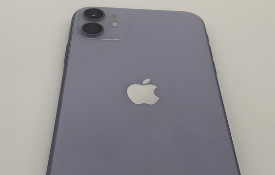 宜兴苹果11系统维修分享iPhone11手机系统崩溃无法开机如何解决 